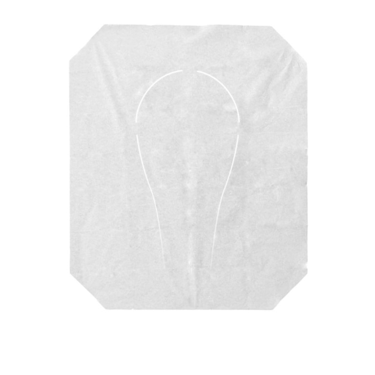 Toilet Seat Covers (10) - 